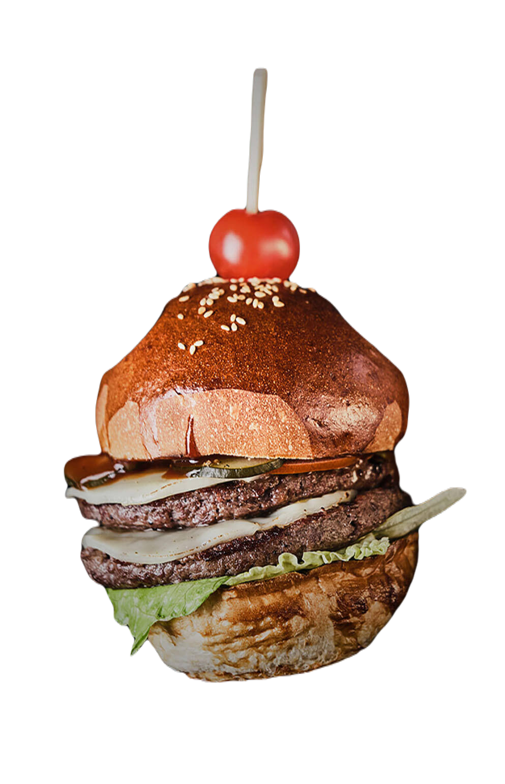 Special Mexico Burger